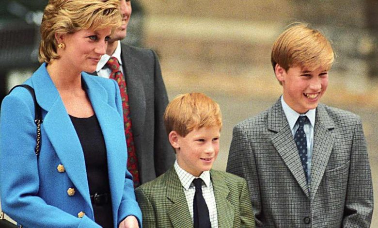 Panduan Keluarga Putri Diana: Temui saudara -saudaranya dan banyak lagi Panduan Keluarga Putri Diana: Temui saudara -saudaranya dan banyak lagi