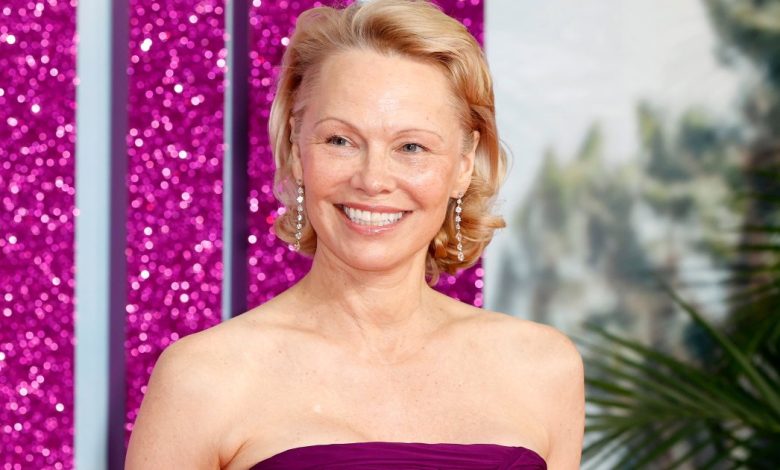 Anting berlian Pamela Anderson $ 700 memiliki mirip yang dijual seharga $ 30 Anting berlian Pamela Anderson $ 700 memiliki mirip yang dijual seharga $ 30