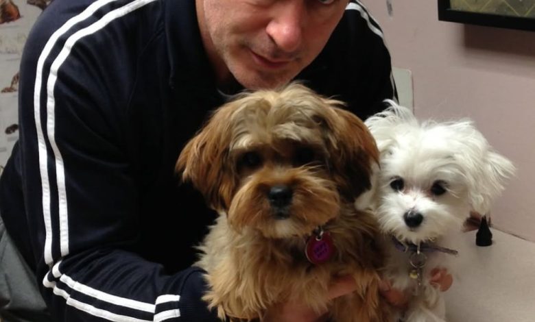 Hilaria Baldwin mengumumkan kematian anjing keluarga Dama di pos yang memilukan Hilaria Baldwin mengumumkan kematian anjing keluarga Dama di pos yang memilukan