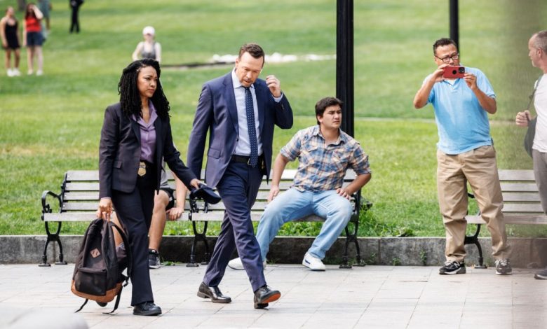 Sonequa Martin-Green adalah Mitra 'Boston Blue' Donnie Wahlberg: Apa yang Harus Diketahui