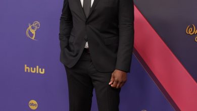 Darius McCrary dari Family Matters Menghadapi 4 Tahun Penjara Setelah Penangkapan Felony