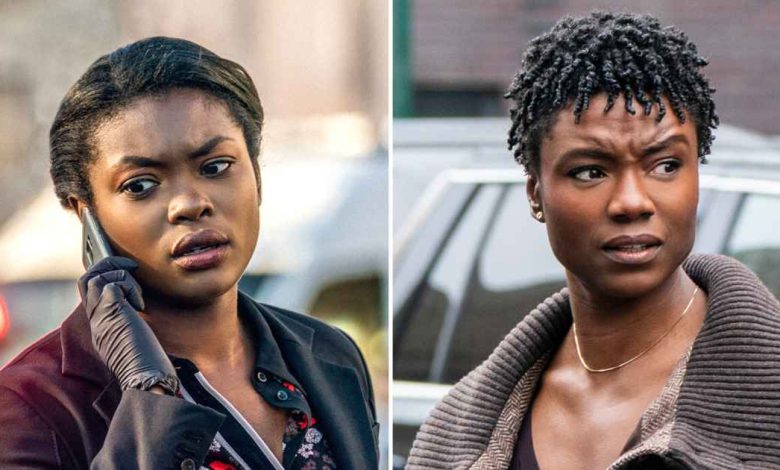 Setiap Bintang 'FBI' yang Meninggalkan Pertunjukan CBS Setelah Memainkan Agen Khusus: Panduan