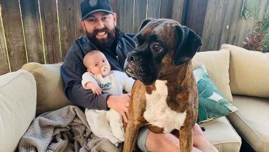 Di Dalam Momen Terakhir 'Mengejutkan' Michael Duarte Sebelum Penembakan Polisi yang Fatal Di Dalam Momen Terakhir 'Mengejutkan' Michael Duarte Sebelum Penembakan Polisi yang Fatal